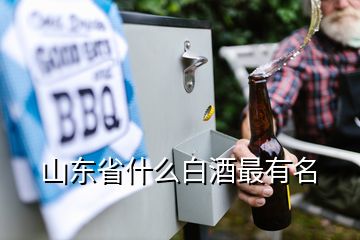 山东省什么白酒最有名