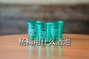 杨梅用什么酒泡