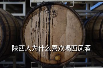 陕西人为什么喜欢喝西凤酒