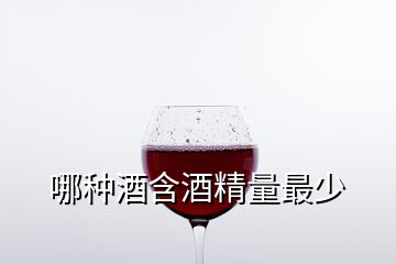 哪种酒含酒精量最少