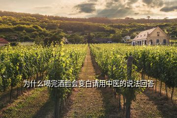 为什么喝完酒脸会变白请用中医的说法回答