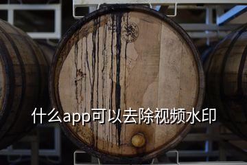 什么app可以去除视频水印