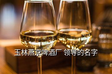 玉林燕京啤酒厂 领导的名字