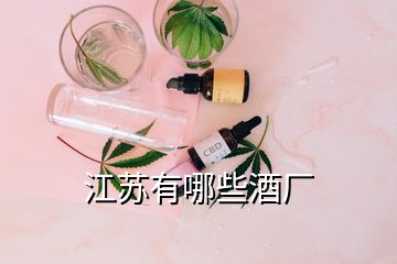 江苏有哪些酒厂