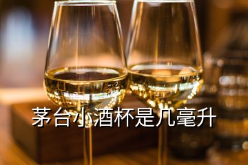 茅台小酒杯是几毫升