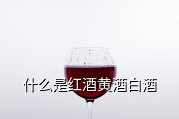 什么是红酒黄酒白酒