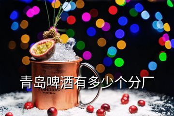 青岛啤酒有多少个分厂