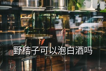 野桔子可以泡白酒吗