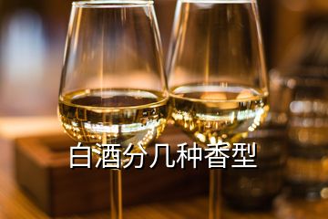 白酒分几种香型