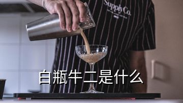 白瓶牛二是什么