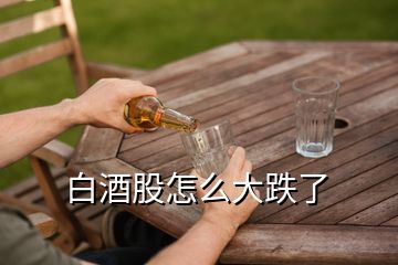 白酒股怎么大跌了