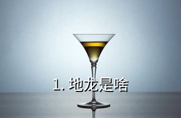 1. 地龙是啥