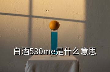 白酒530me是什么意思