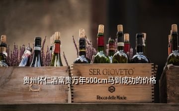 贵州怀仁酒富贵万年500cm马到成功的价格