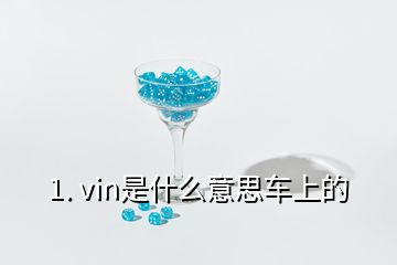 1. vin是什么意思车上的