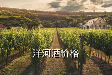 洋河酒价格