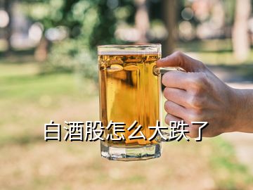 白酒股怎么大跌了