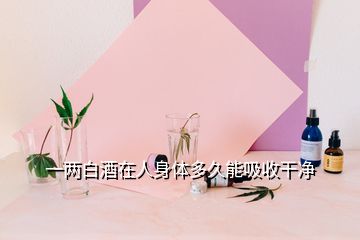 一两白酒在人身体多久能吸收干净