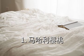 1. 马哈利樱桃