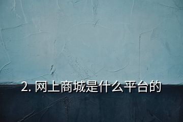 2. 网上商城是什么平台的