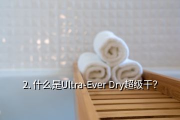 2. 什么是Ultra-Ever Dry超级干？