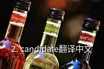 2. candidate翻译中文