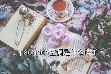 1. paonoca空调是什么牌子