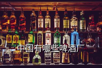 中国有哪些啤酒厂