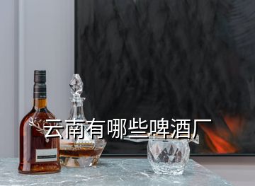 云南有哪些啤酒厂