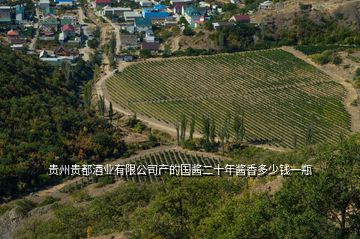 贵州贵都酒业有限公司产的国酱二十年酱香多少钱一瓶