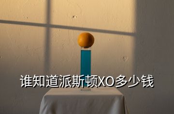 谁知道派斯顿XO多少钱