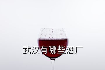 武汉有哪些酒厂