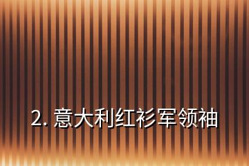 2. 意大利红衫军领袖