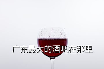 广东最大的酒吧在那里