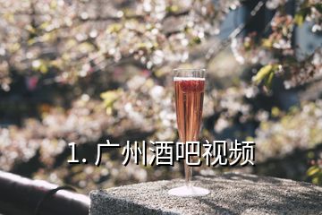 1. 广州酒吧视频