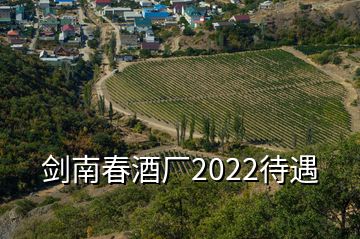 剑南春酒厂2022待遇