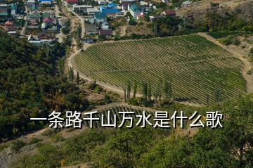 一条路千山万水是什么歌