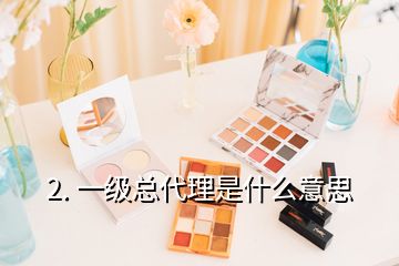 2. 一级总代理是什么意思