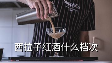 西拉子红酒什么档次