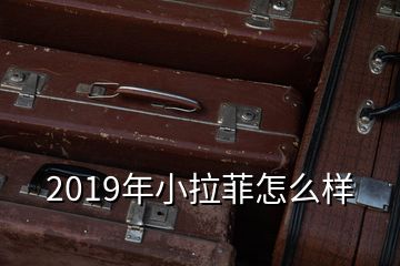 2019年小拉菲怎么样