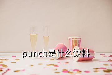 punch是什么饮料