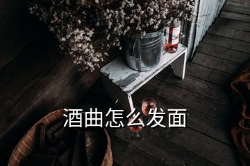 酒曲怎么发面