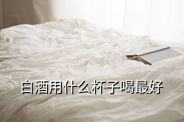 白酒用什么杯子喝最好