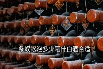 一条蜈蚣泡多少毫什白酒合适