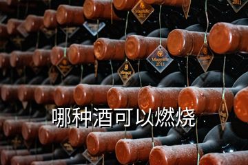 哪种酒可以燃烧