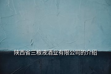 陕西省三粮液酒业有限公司的介绍