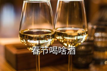 春节喝啥酒