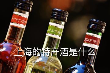 上海的特产酒是什么