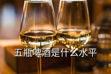 五瓶啤酒是什么水平