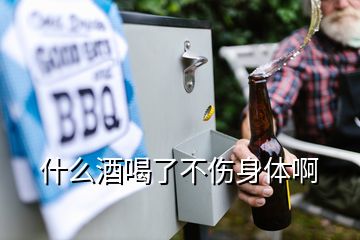 什么酒喝了不伤身体啊